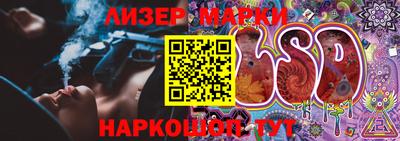 гидропоника Гусев