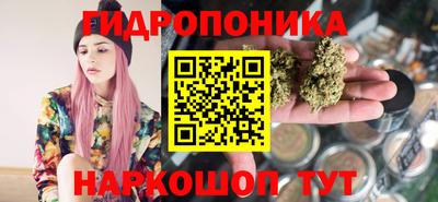 шишки Гусиноозёрск