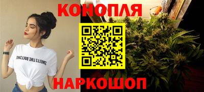 гидропоника Гусев